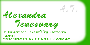 alexandra temesvary business card